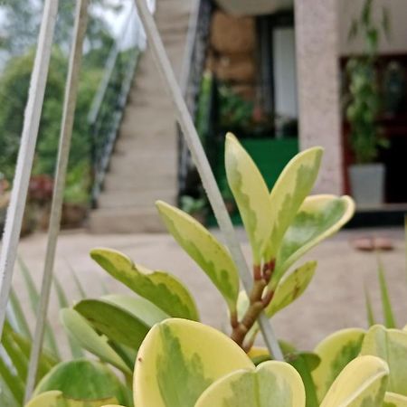 Ella Glory Inn Ngoại thất bức ảnh