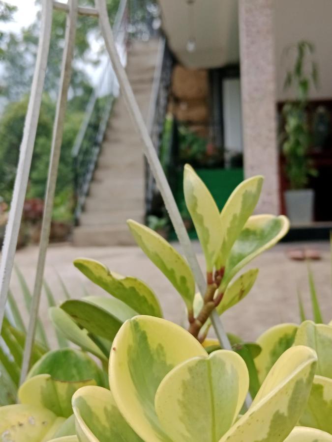 Ella Glory Inn Ngoại thất bức ảnh